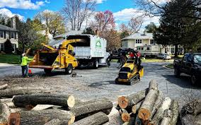 Best Seasonal Cleanup (Spring/Fall)  in Florence, AL