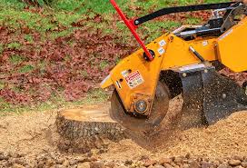 Best Stump Grinding and Removal  in Florence, AL