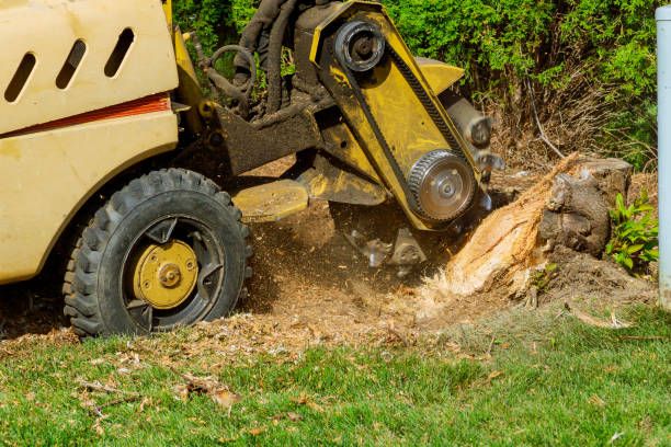 Artificial Turf Installation in Florence, AL